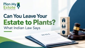 What Indian law says