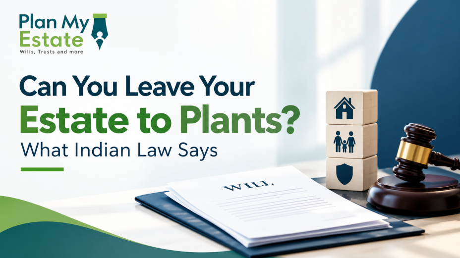 What Indian law says